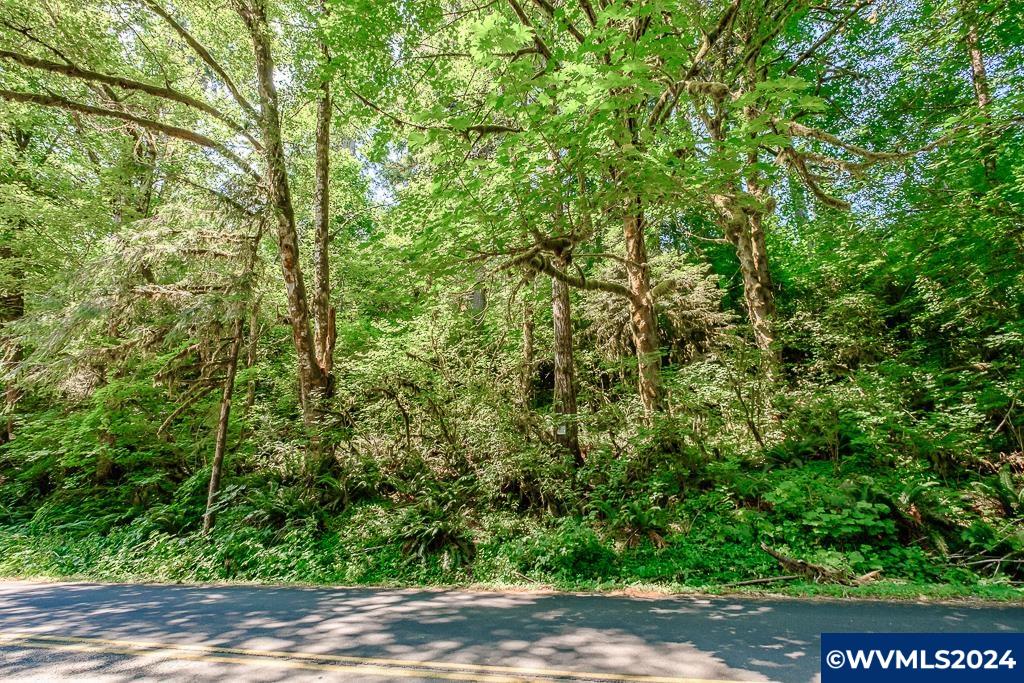 12860 Gilbert Creek Road Willamina, OR 97396 - Photo 36 of 38