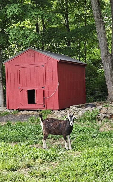 54 Ferry Hill Road Granby, MA 01033 - Photo 7 of 42 Gallery Image 7
