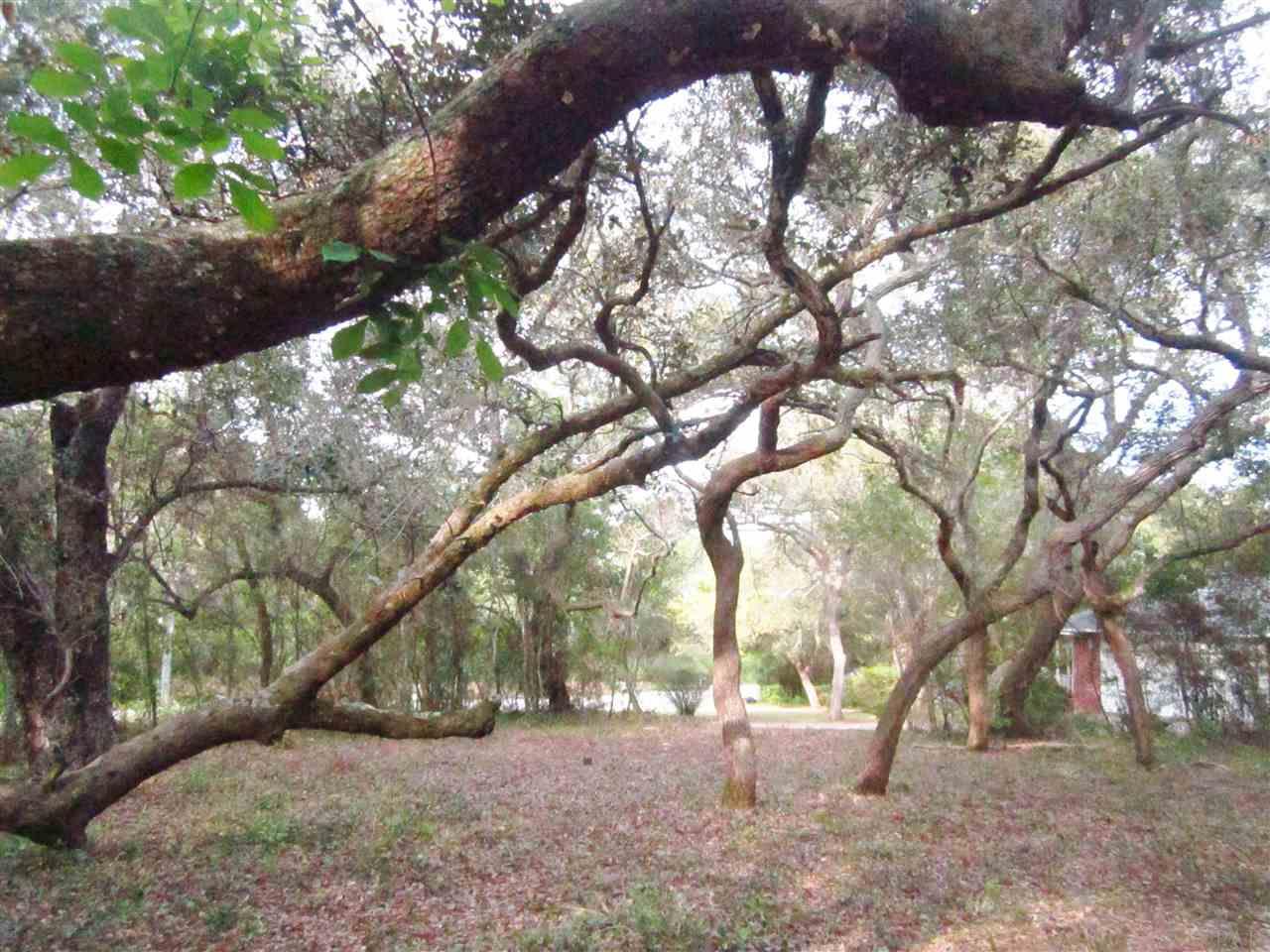14800 Innerarity Point Road Pensacola, FL 32507 - Photo 1 of 5 Gallery Image 1