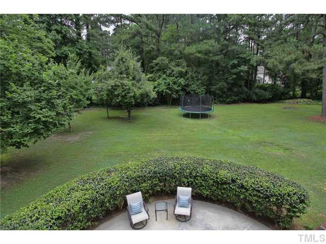 220 Bayleaf Drive Raleigh, NC 27615 - Photo 17 of 25 What a great view of the back yard! It is very manicured with lots of mature trees and shrubs. You will love this back yard! Exterior Back