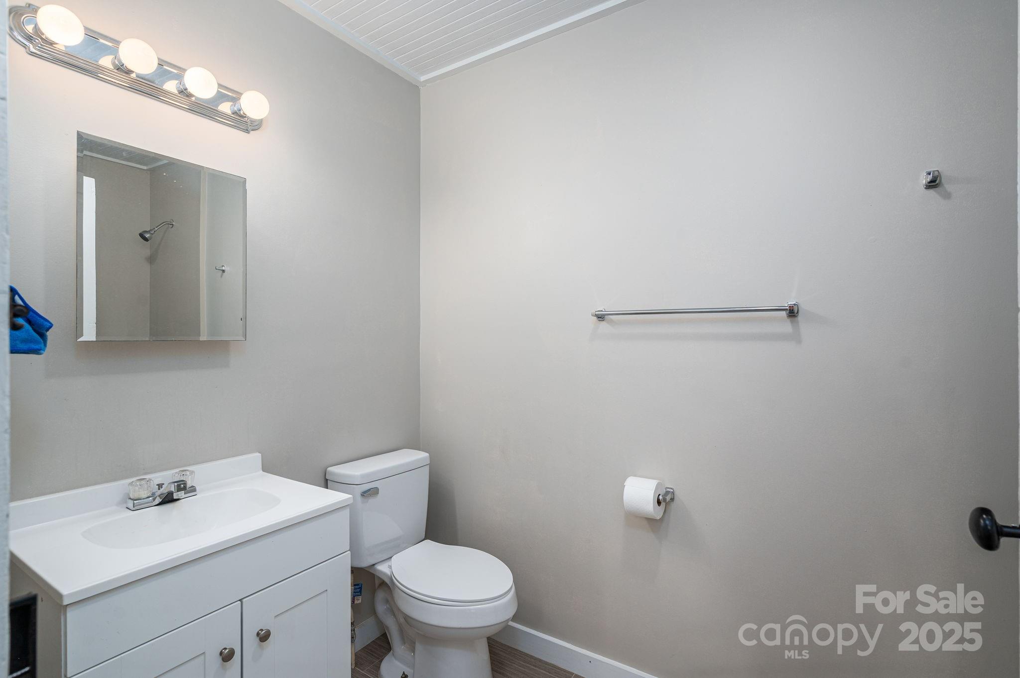 5746 Casar Road Casar, NC 28020 - Photo 18 of 24 a bathroom with a sink a toilet and mirror