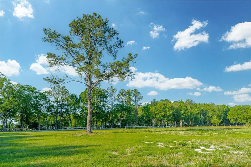 264 Williams Loop Waycross, GA 31503 - Photo 19 of 33