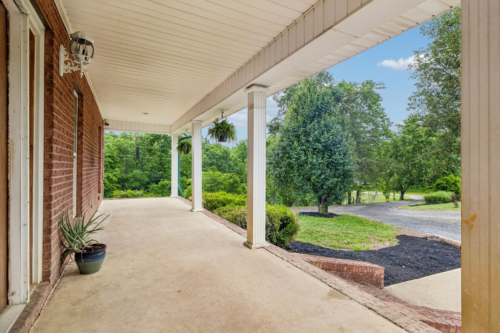6701 McCormick Ridge Road Whitleyville, TN 38588 - Photo 8 of 63 a view of a garden with an outdoor space