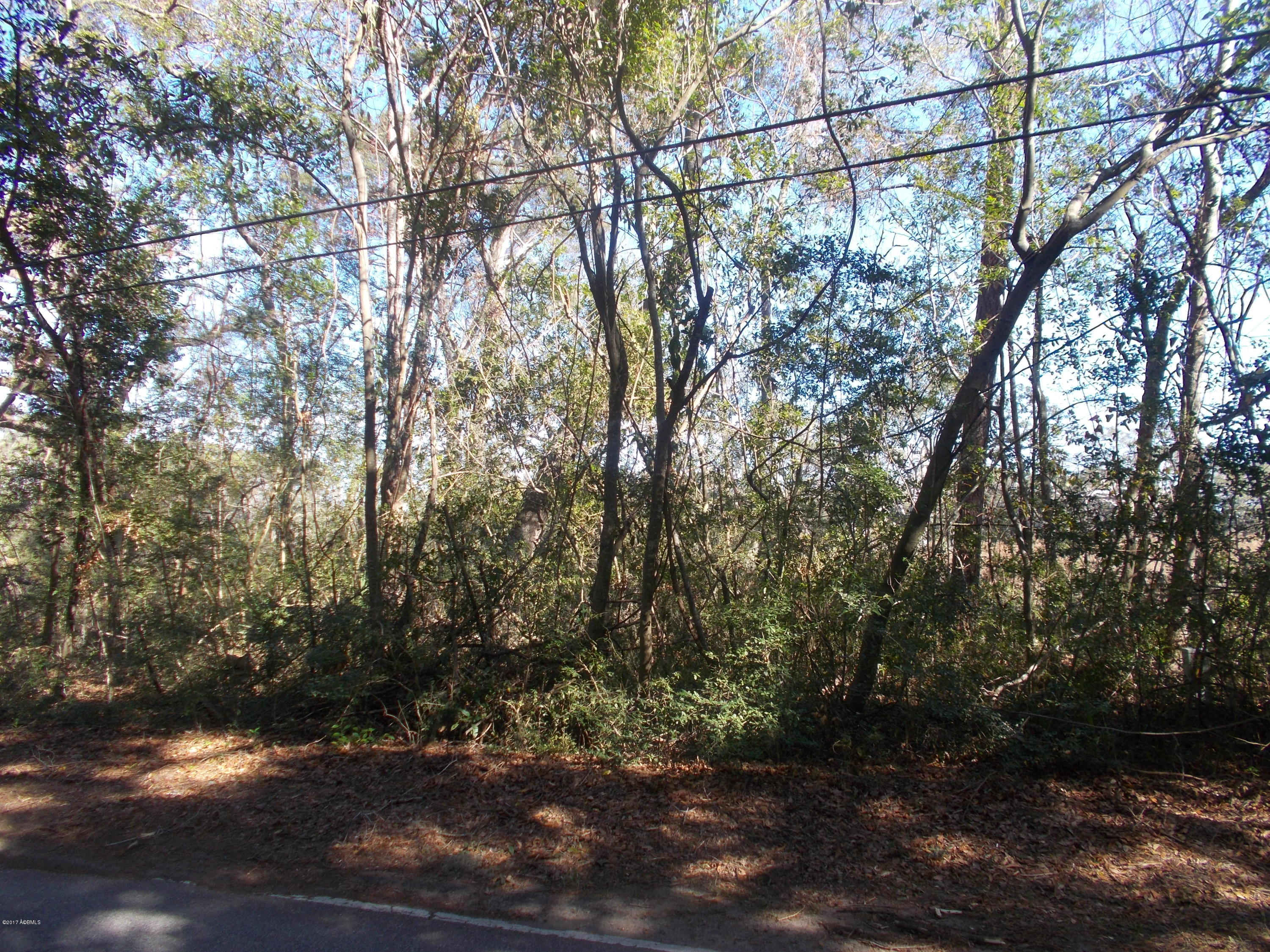 171-187 Meridian Road Beaufort, SC 29907 - Photo 9 of 10 DSCN7716