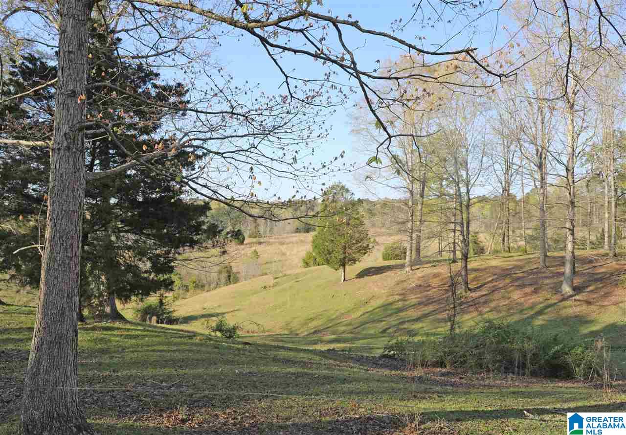 682 Simpsons Bend Road Ohatchee, AL 36271 - Photo 4 of 37