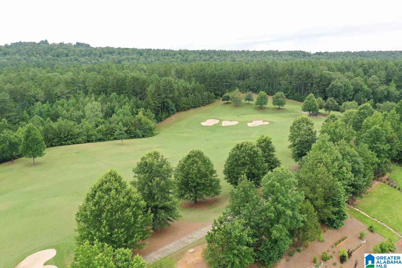 321 Kilkerran Lane Pelham, AL 35124 - Photo 6 of 41