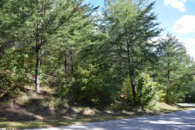 $90,000 | 0 Holland Drive, Unit LOT 3, Columbus, NC 28722