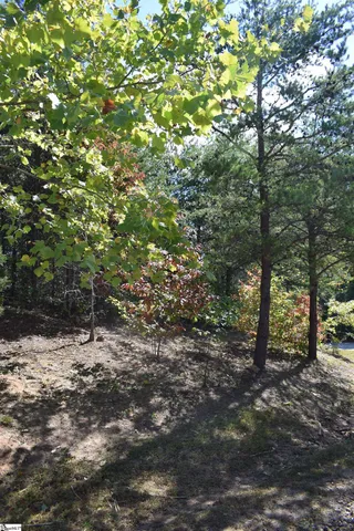 $90,000 | 0 Holland Drive, Unit LOT 3, Columbus, NC 28722