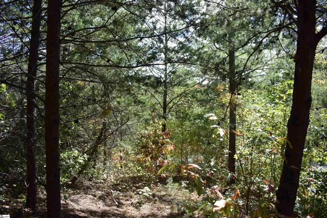 $90,000 | 0 Holland Drive, Unit LOT 3, Columbus, NC 28722