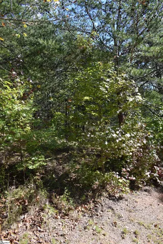 $90,000 | 0 Holland Drive, Unit LOT 3, Columbus, NC 28722