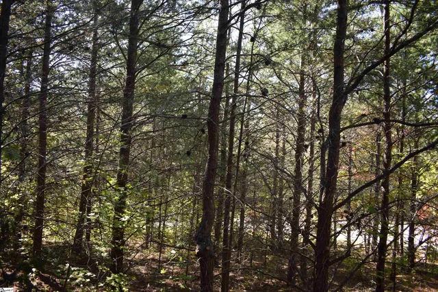 $90,000 | 0 Holland Drive, Unit LOT 3, Columbus, NC 28722