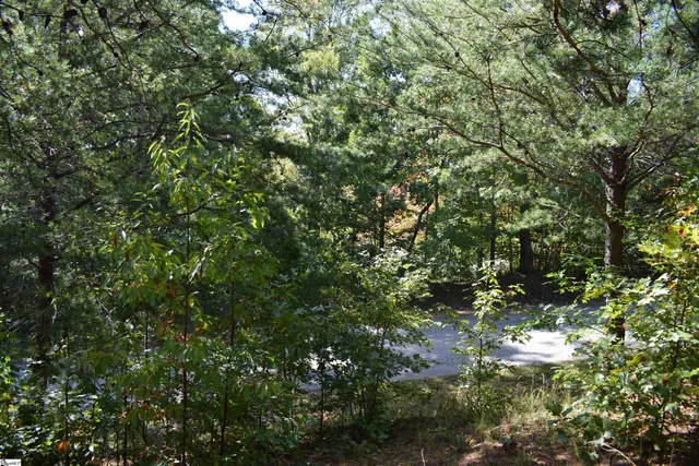 $90,000 | 0 Holland Drive, Unit LOT 3, Columbus, NC 28722