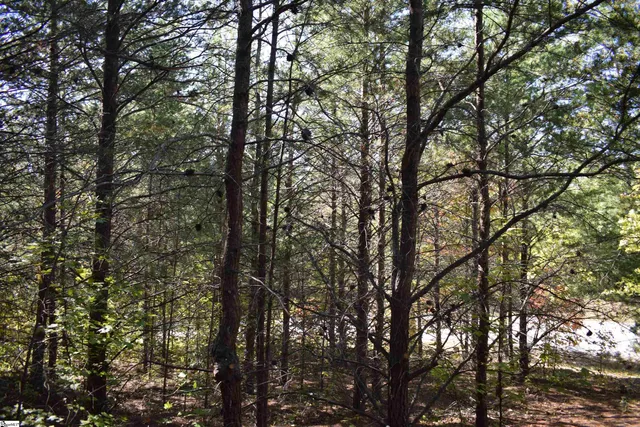 $90,000 | 0 Holland Drive, Unit LOT 3, Columbus, NC 28722