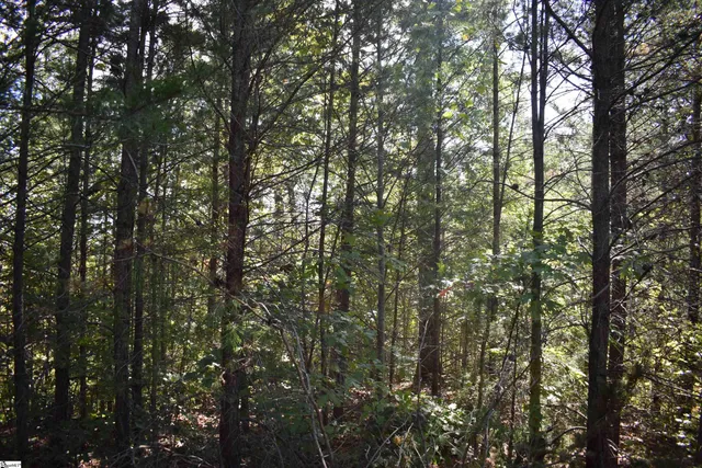 $90,000 | 0 Holland Drive, Unit LOT 3, Columbus, NC 28722