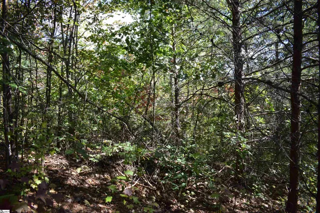 $90,000 | 0 Holland Drive, Unit LOT 3, Columbus, NC 28722