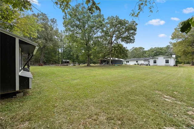 a view of a tree in a yard