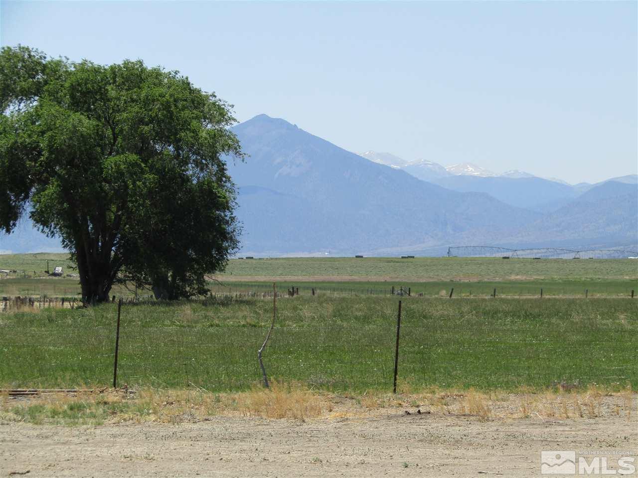 29 Smith Gage Road Smith, NV 89430 - Photo 28 of 30 Photo 28