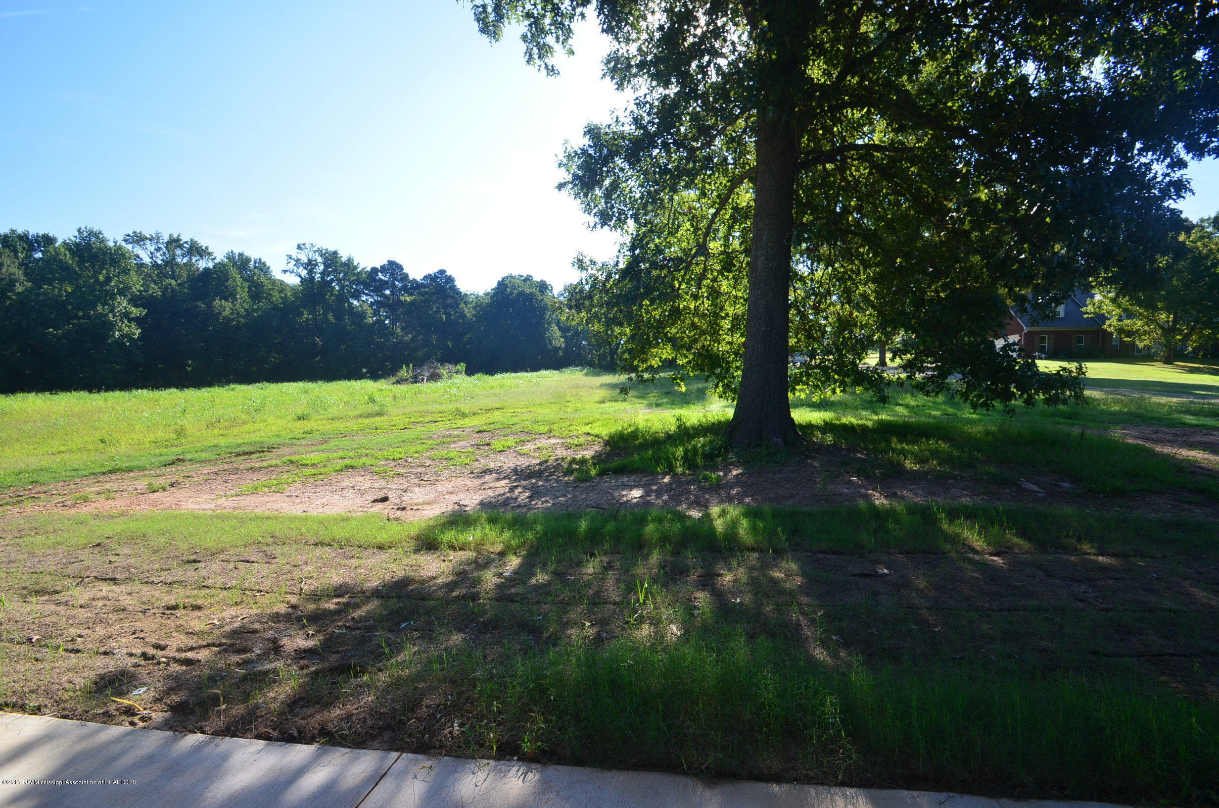 1702 Gwynn Road Nesbit, MS 38651 - Photo 24 of 24 Back yard