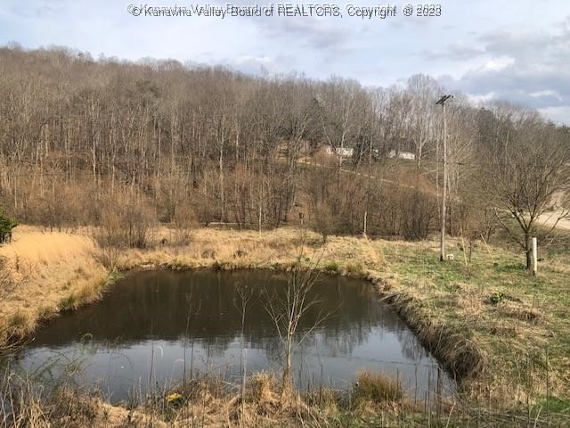 1576 Big Run Road Le Roy, WV 25252 - Photo 2 of 6 Gallery Image 2