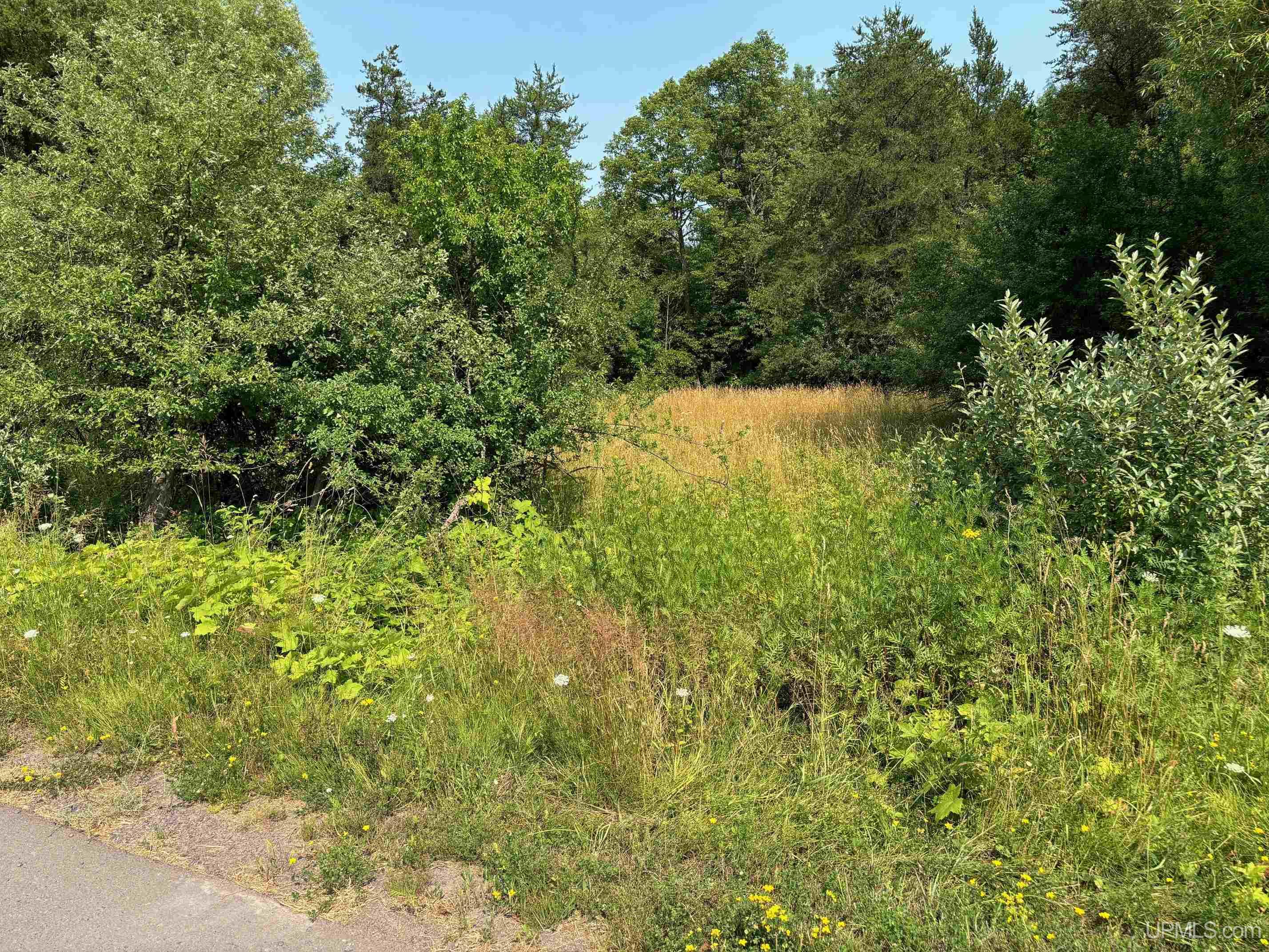 21505 River Trails Road Houghton, MI 49931 - Photo 4 of 11