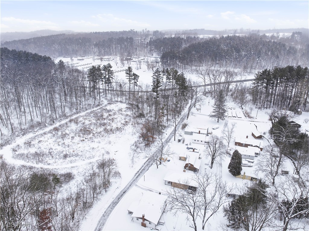 4254 Doral Road Southwest Carrollton, OH 44615 - Photo 6 of 46 Snowy aerial view with a wooded view