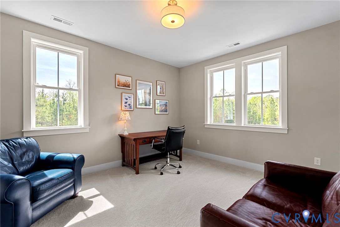 1697 Smokey Trail Road Maidens, VA 23102 - Photo 48 of 79