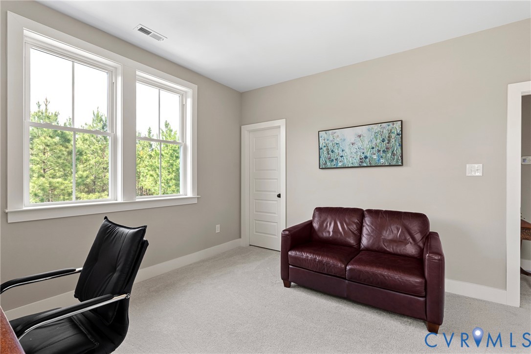 1697 Smokey Trail Road Maidens, VA 23102 - Photo 49 of 79