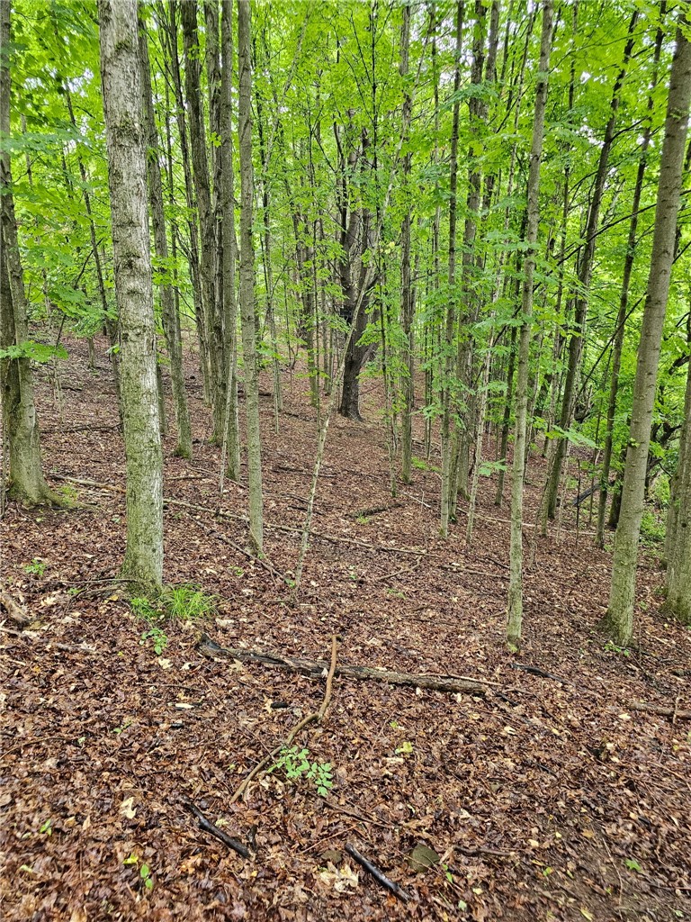 15 Co Road Fillmore, NY 14735 - Photo 11 of 37 Gallery Image 11