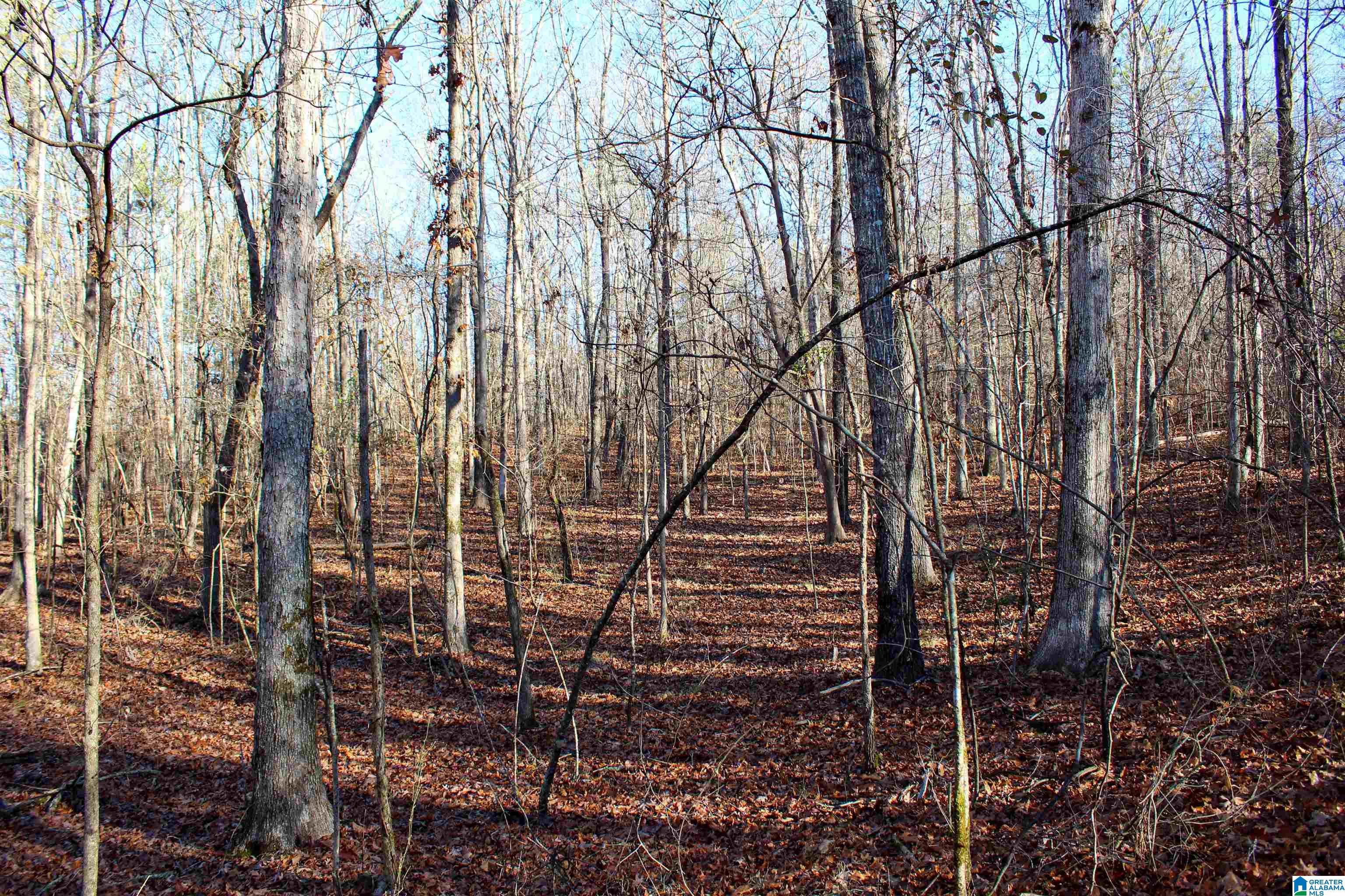 29 Highway Hamilton Al, Unit 1 Hamilton, AL 35570 - Photo 32 of 55