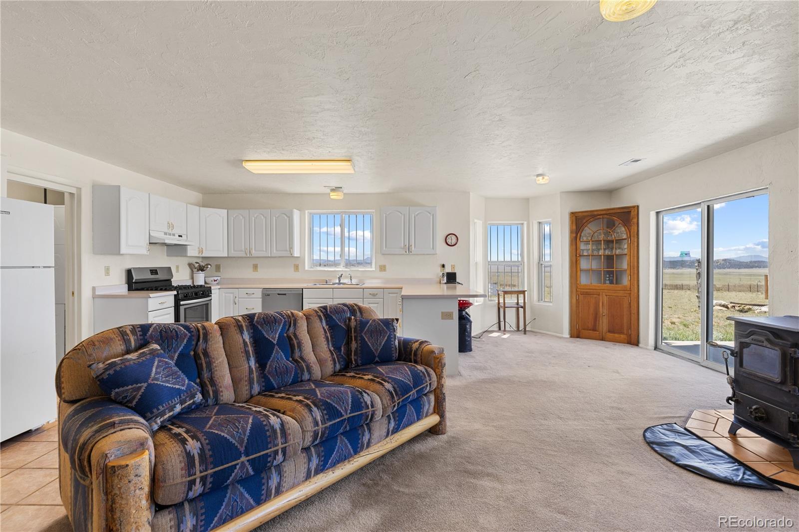 1421 Larimer Road Hartsel, CO 80449 - Photo 12 of 43