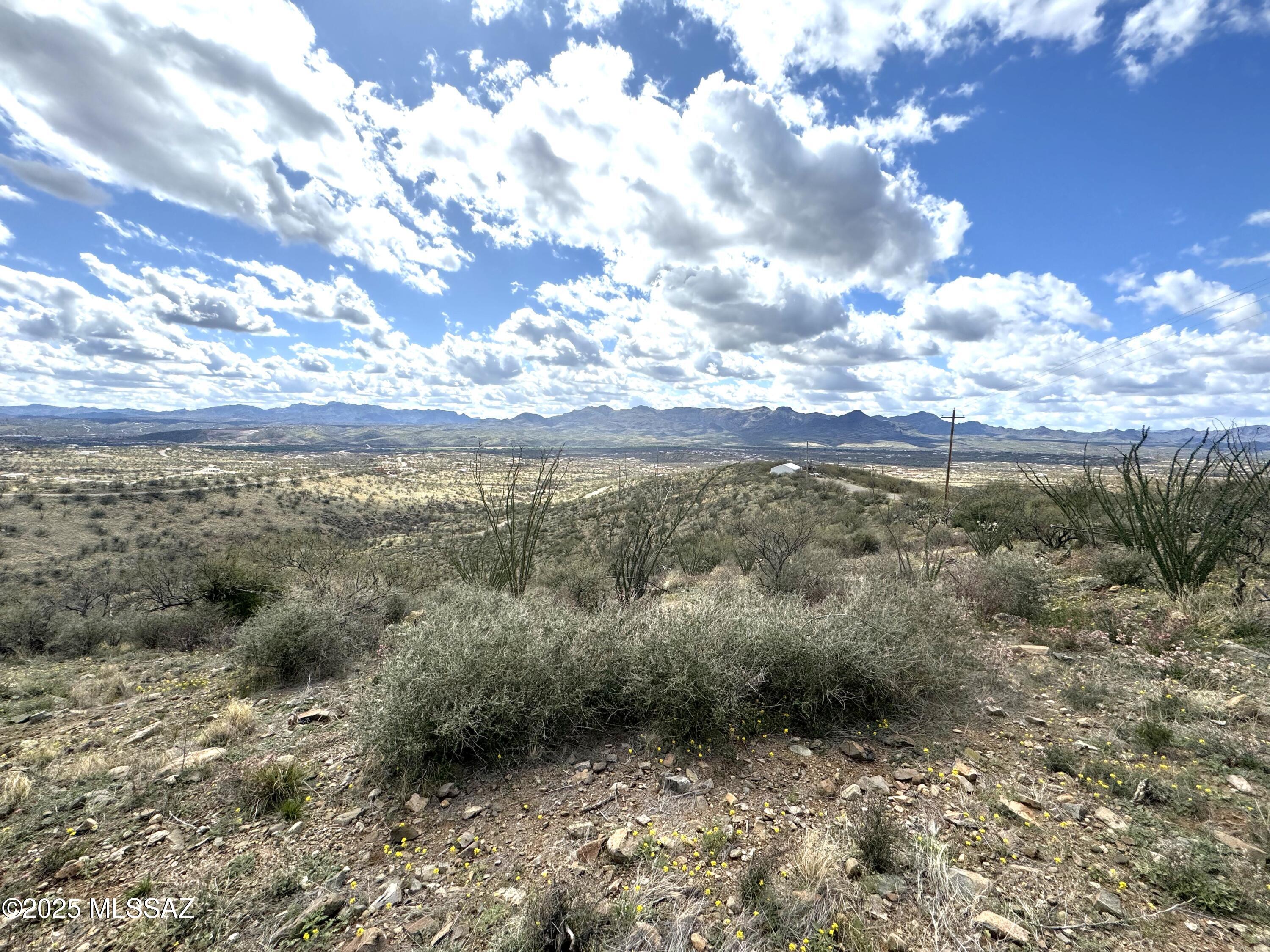 1735 Ruta Caravela Rio Rico, AZ 85648 - Photo 8 of 9 a view of a yard with trees in the background