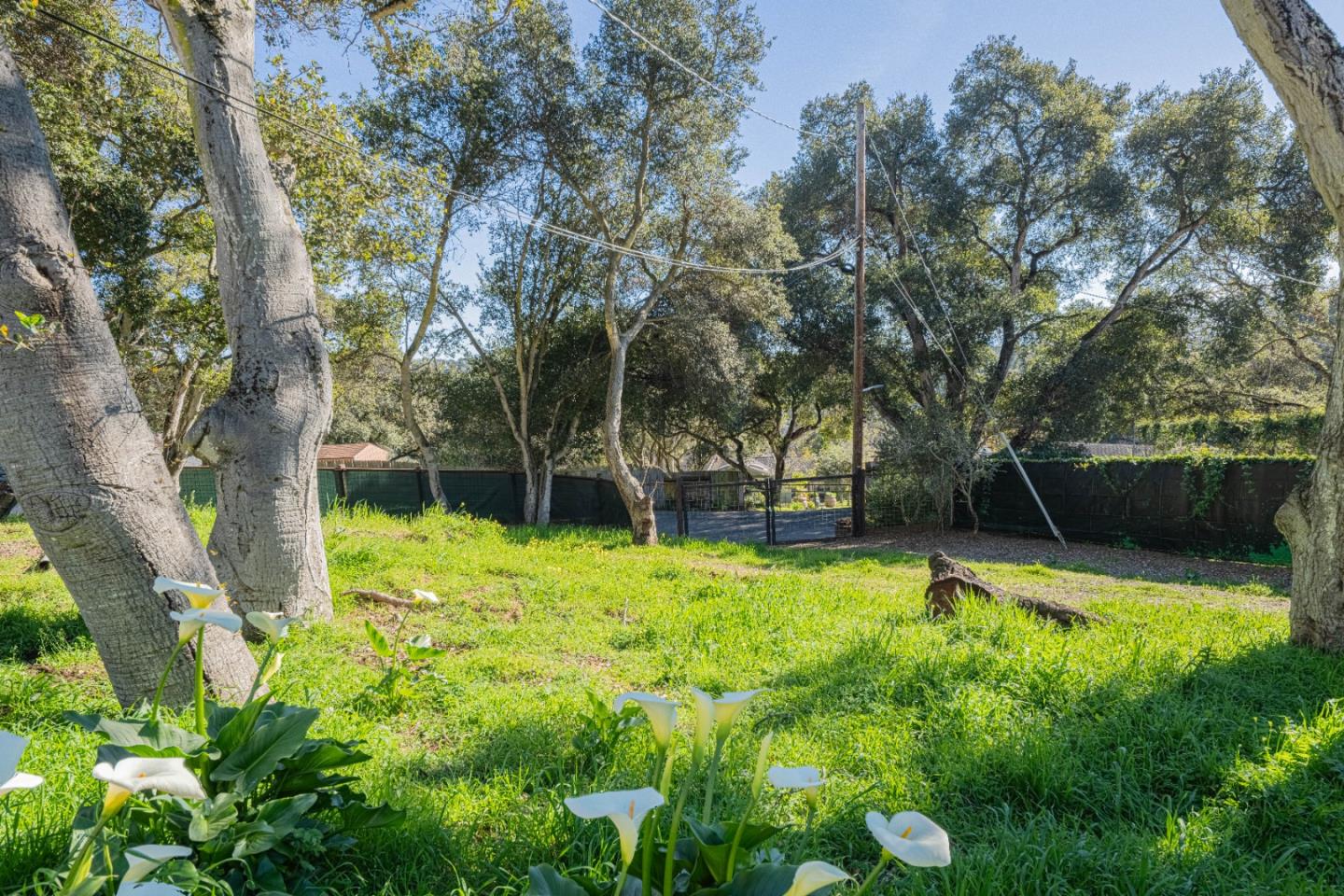 19112 Marjorie Road Salinas, CA 93907 - Photo 42 of 42