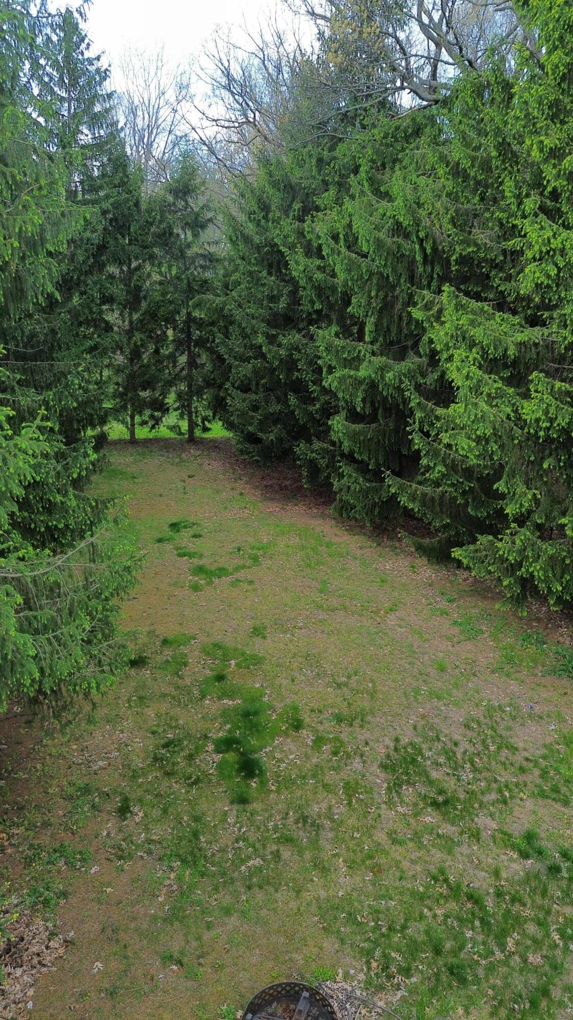 424 Yanke Road Trail Creek, IN 46360 - Photo 31 of 36 1124x2000