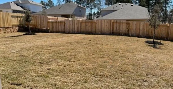 a view of a backyard