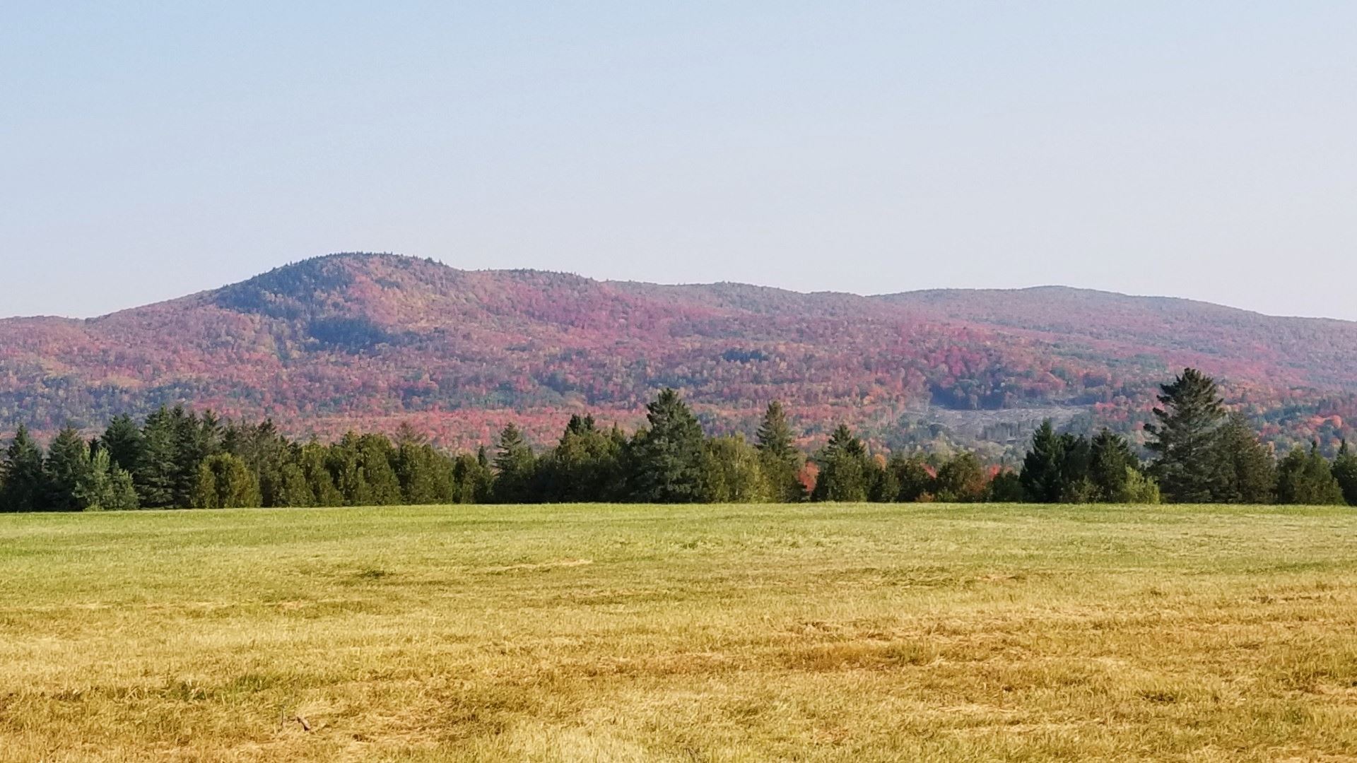 640 Charleston Road Brighton, VT 05846 - Photo 11 of 28 Gallery Image 11