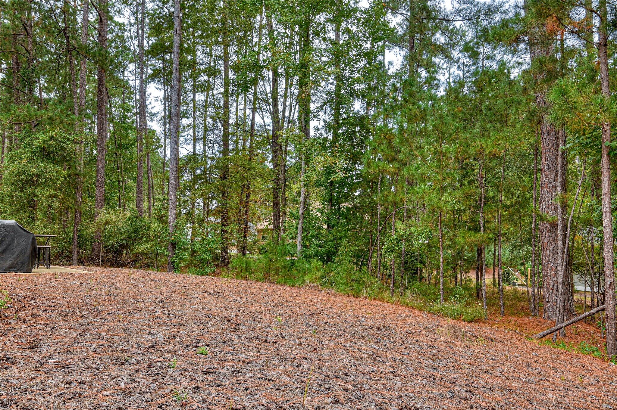 215 Tara Drive McCormick, SC 29835 - Photo 37 of 40 37-137