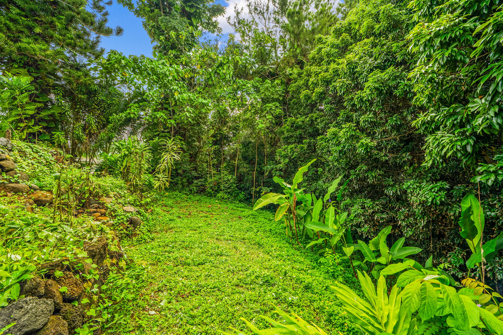 6271 Opaekaa Road Kapaa, HI 96746 - Photo 11 of 24