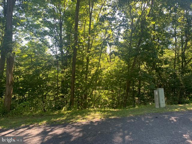 Richmon Road Mount Jackson, VA 22842 - Photo 1 of 6