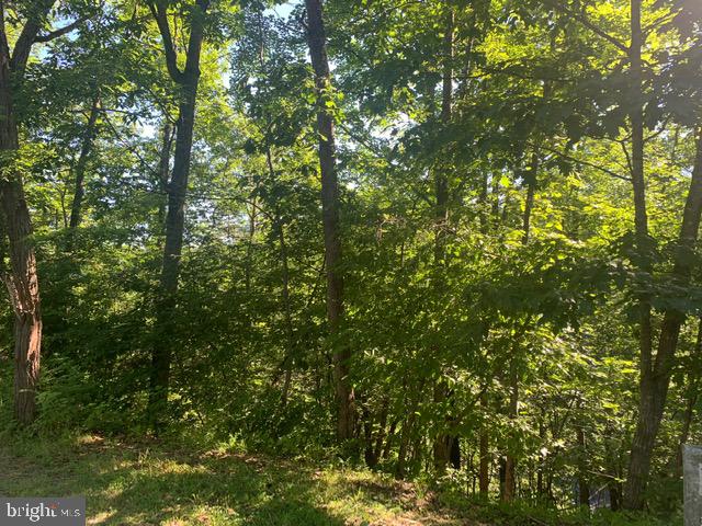 Richmon Road Mount Jackson, VA 22842 - Photo 2 of 6