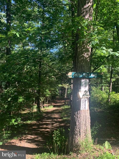 Richmon Road Mount Jackson, VA 22842 - Photo 3 of 6 5 minute walk to the Lake path