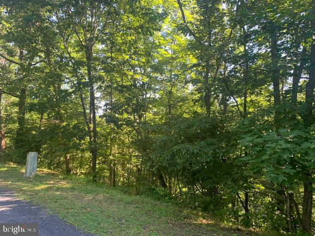 Richmon Road Mount Jackson, VA 22842 - Photo 4 of 6