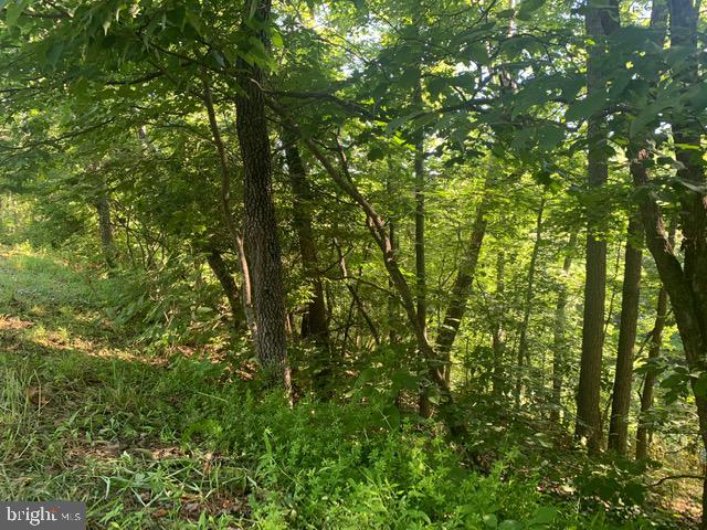 Richmon Road Mount Jackson, VA 22842 - Photo 5 of 6