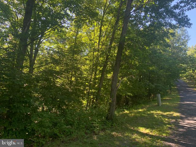 Richmon Road Mount Jackson, VA 22842 - Photo 6 of 6