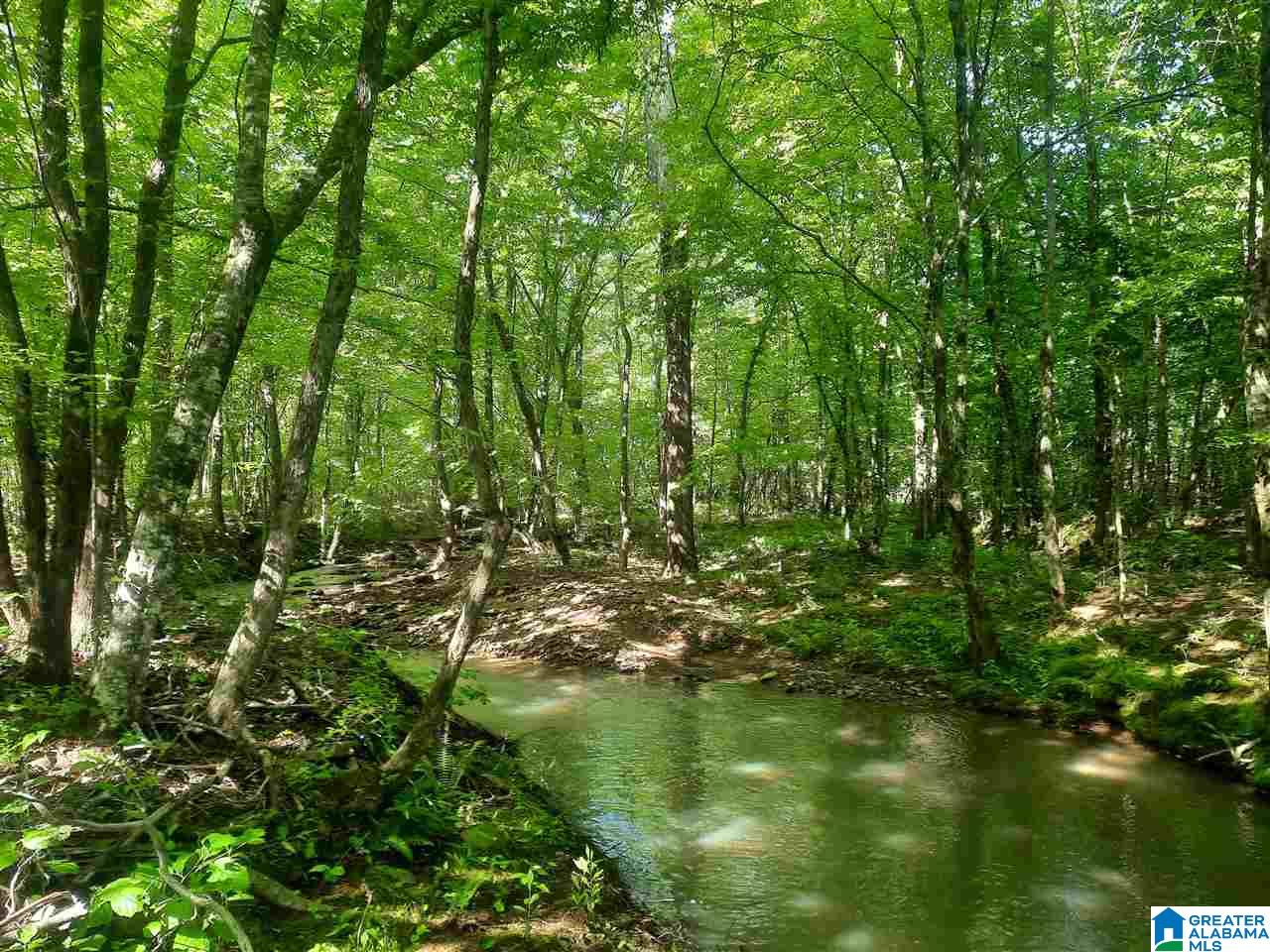 0 Mountain Gap Road, Unit 33 Blountsville, AL 35031 - Photo 1 of 4