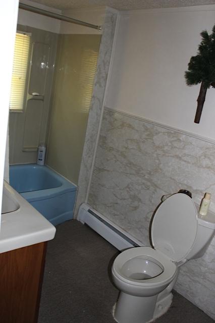15881 Barber Road Southeast Grayling, MI 49738 - Photo 13 of 20 Gallery Image 13