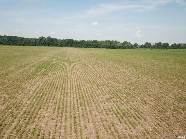 $1,000,000 | 0 North Stanford Road, Flora, IL 62839