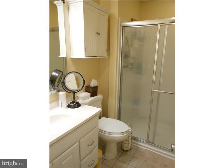 16 Rittenhouse Court, Unit 187 Wayne, PA 19087 - Photo 9 of 11 Bathroom