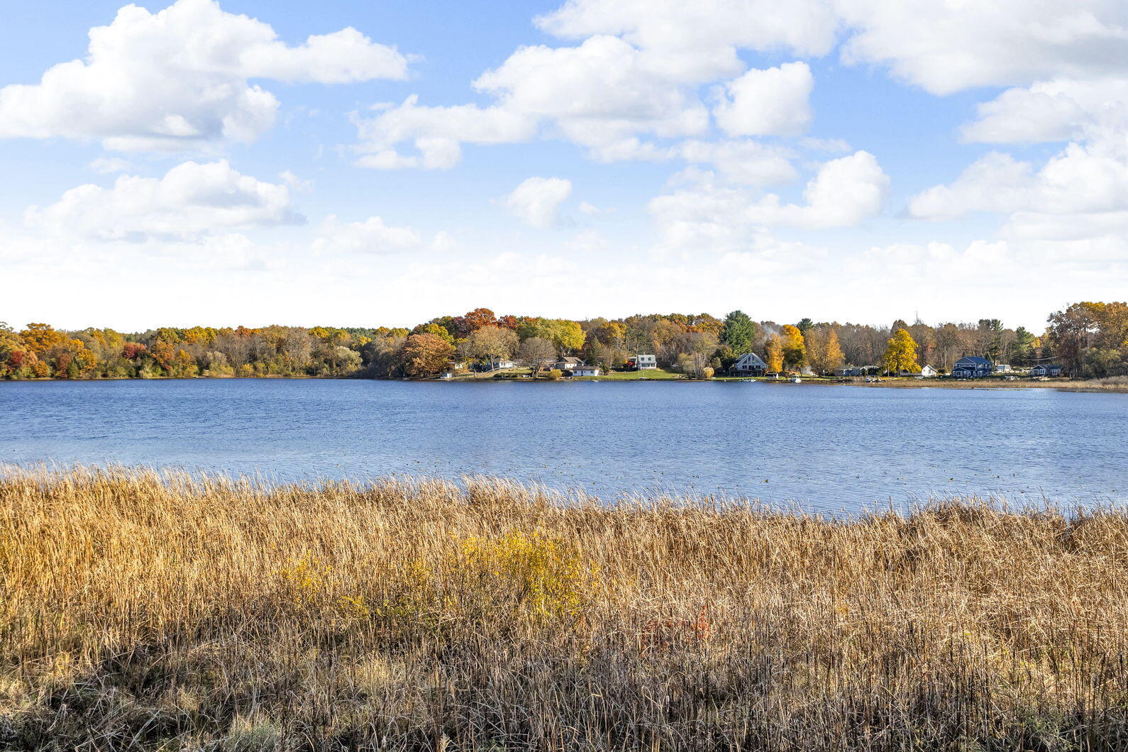 6503 Springbrook Road Horton, MI 49246 - Photo 71 of 77 22-web-or-mls-0N0A8030