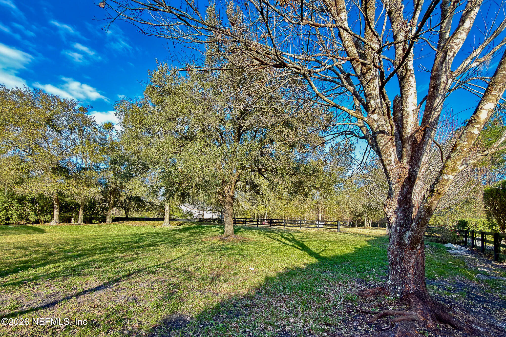 226 Towers Ranch Drive St. Augustine, FL 32092 - Photo 32 of 36 a view of a yard with a tree