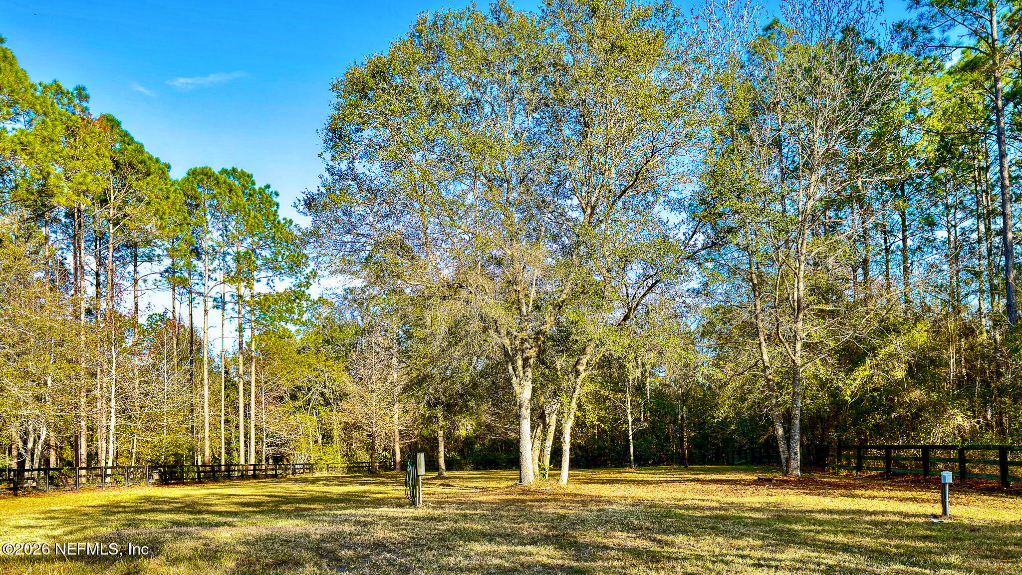 226 Towers Ranch Drive St. Augustine, FL 32092 - Photo 37 of 41 Backyard